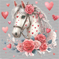 Valentine's Day-QRJ  5874